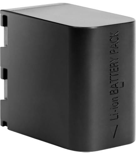 Amazon.com : Battery Pack for Nikon Coolpix S1000pj, S1100pj